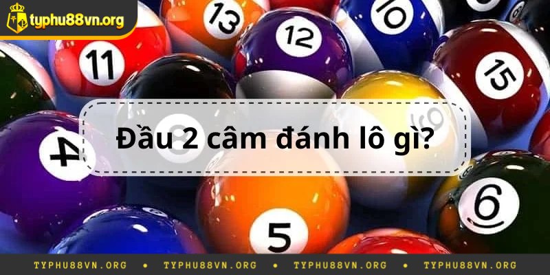 Giới thiệu thông tin về lô đầu 2 câm