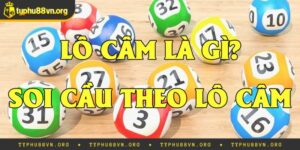 Lô Đầu 2 Câm Đánh Con Gì? Bí Quyết Đánh Trúng Giải Độc Đắc