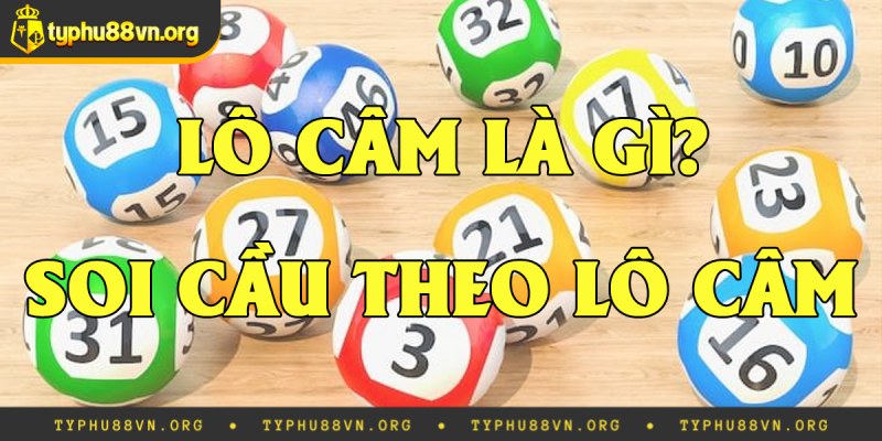 Lô Đầu 2 Câm Đánh Con Gì? Bí Quyết Đánh Trúng Giải Độc Đắc