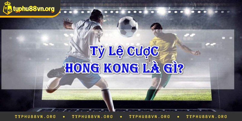 03 cách soi tỷ lệ kèo Hồng Kông chuẩn nhất