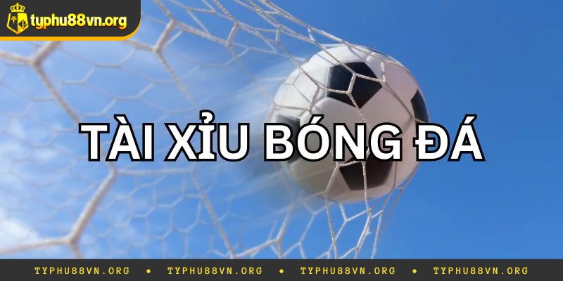 Bật mí tips chơi kèo tài xỉu 1 3/4 luôn thắng cao
