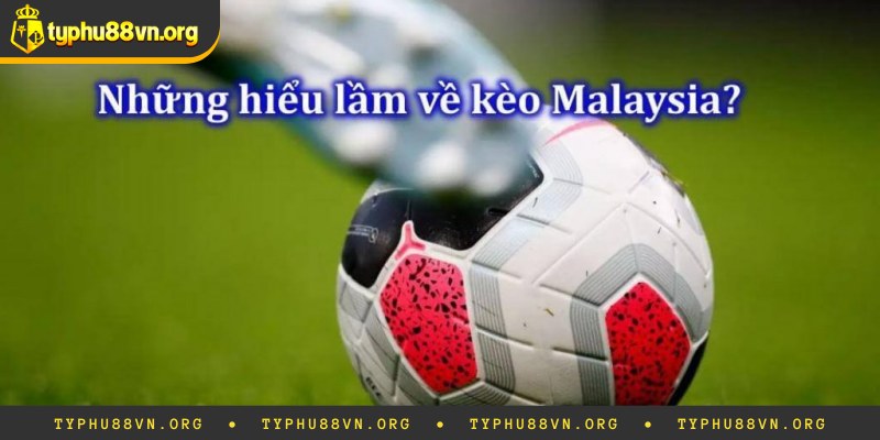 Cách xem đúng tỷ lệ cược Malaysia chuẩn xác