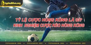 Tỷ Lệ Kèo Hong Kong Là Gì? Cách Soi Kèo Hong Kong Chuẩn
