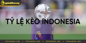 Tỷ Lệ Kèo Indonesia Là Gì? Cách Đặt Cược Kèo Luôn Thắng