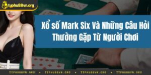 Xổ Số Mark Six – Tổng Quan Về Trò Chơi Ấn Tượng 2025